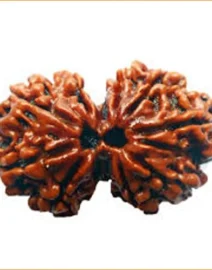 gauri-shankar-rudraksha
